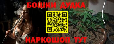 сатива Усть-Илимск