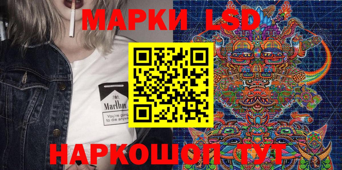 Наркотические марки 1,5мг  Вход с VPN  Бердск  Наркотические марки 1,5мг 