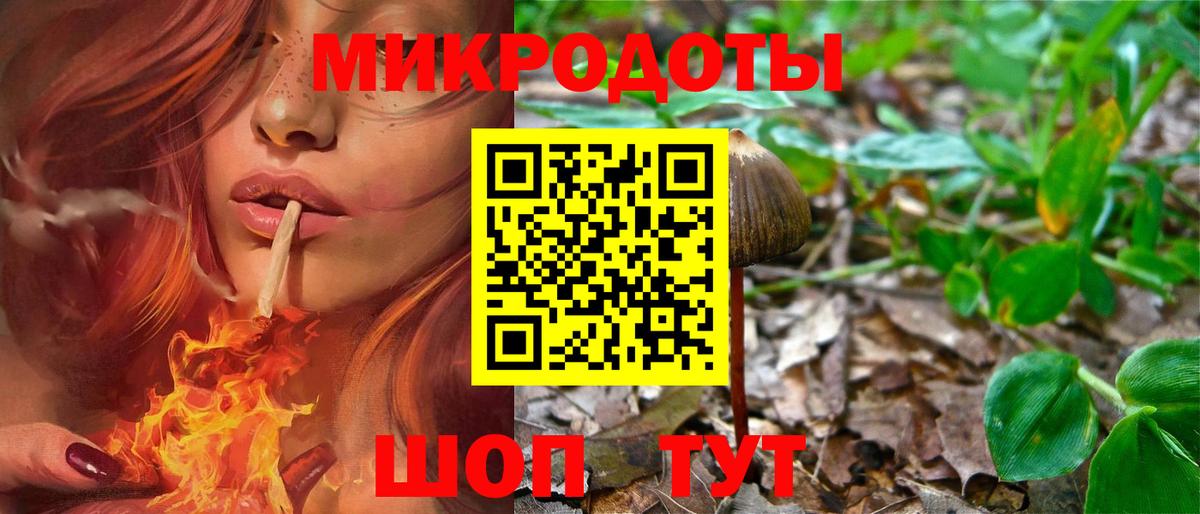 Галлюциногенные грибы Cubensis  Вход с VPN  Бердск  Галлюциногенные грибы прущие грибы 