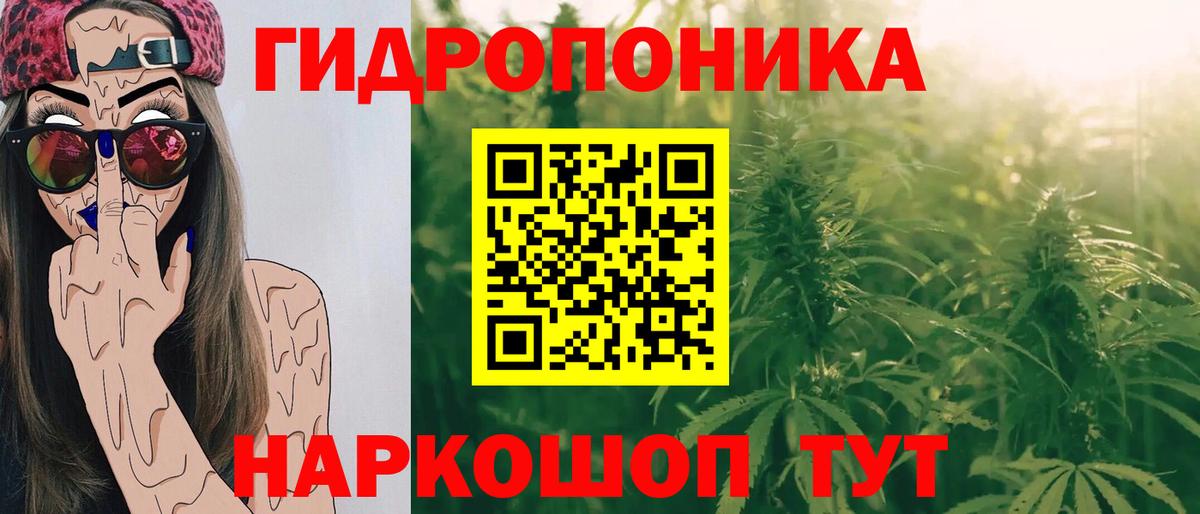 Бошки Шишки ГИДРОПОН Бердск